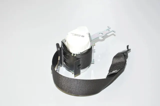 Rear Left Seatbelt