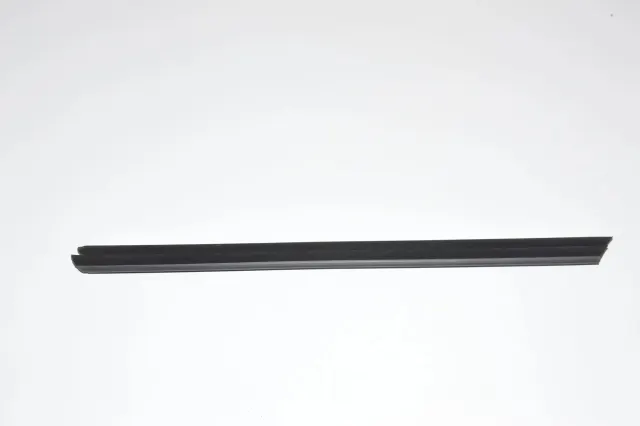 Front Left Door Window Strip