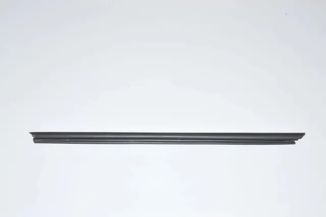 Front Right Door Window Strip