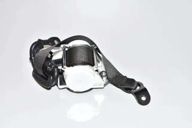 Rear Left Seatbelt