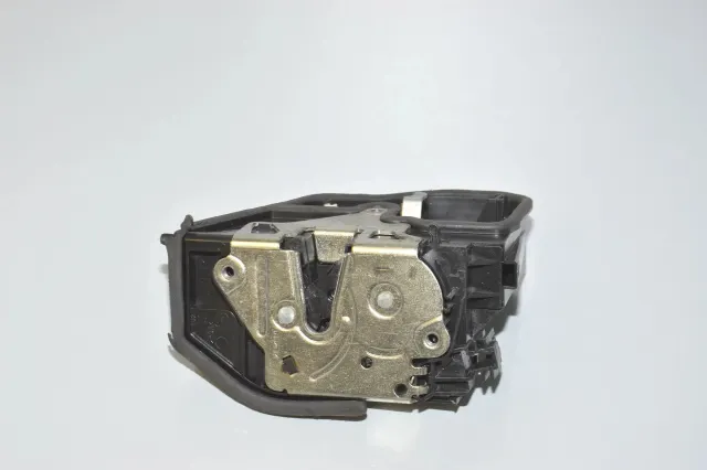 Rear Left Door Lock