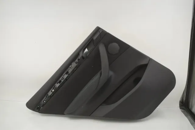 Rear Left Door Panel