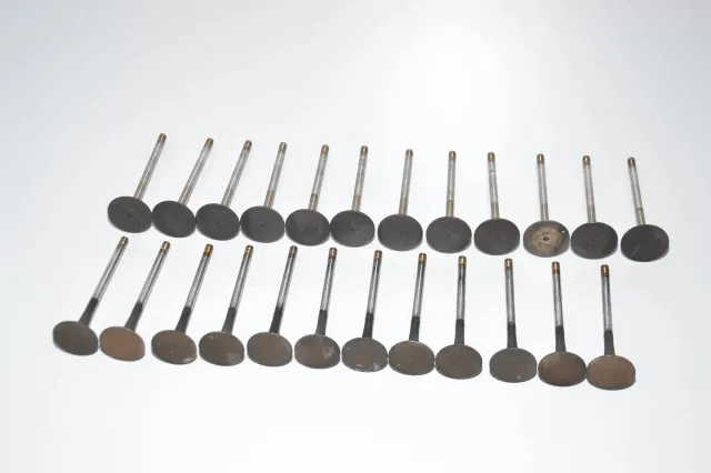 Intake Valves