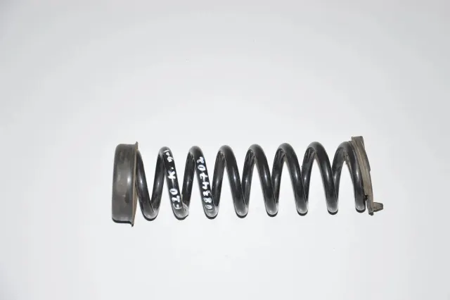 Rear Left Coil Spring