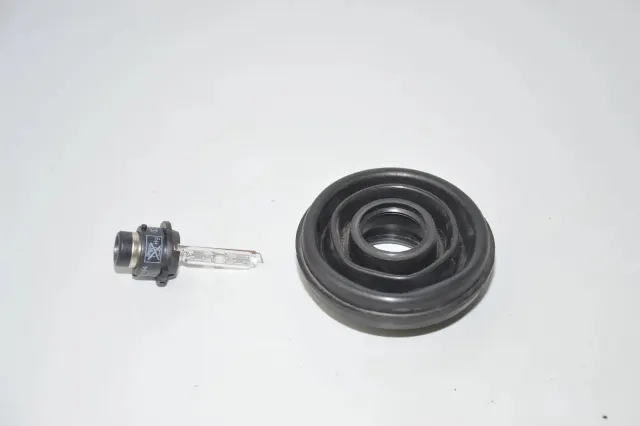 Xenon Bulb