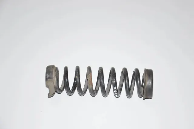 Rear Left Coil Spring