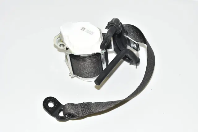 Rear Right Seatbelt