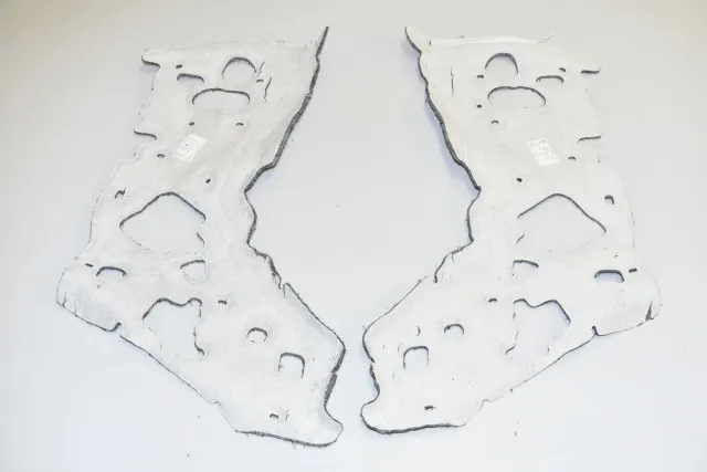 Other Body Parts