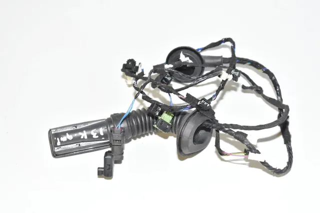 Rear Left Door Wiring