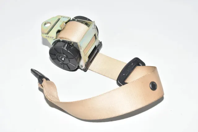 Rear Right Seatbelt