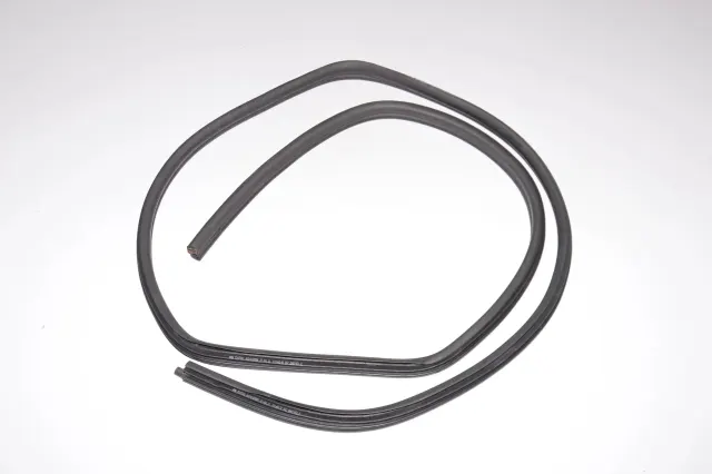 Rear Left Door Seal Rubber