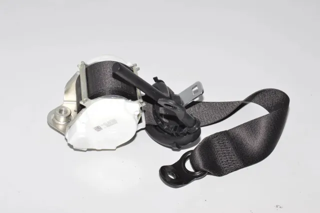 Rear Left Seatbelt