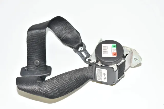 Rear Left Seatbelt