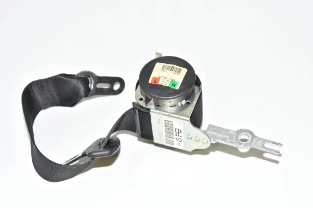 Rear Right Seatbelt