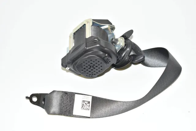 Rear Left Seatbelt