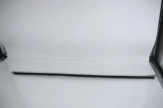 Rear Right Door Window Strip