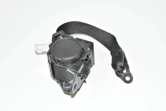 Rear Left Seatbelt