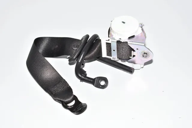 Rear Left Seatbelt