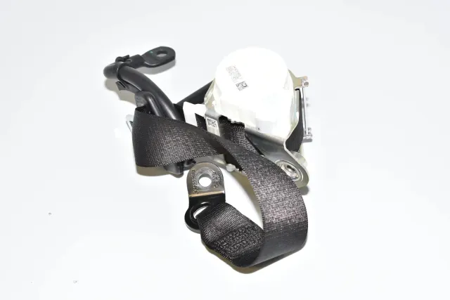 Rear Right Seatbelt