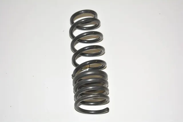 Rear Left Coil Spring