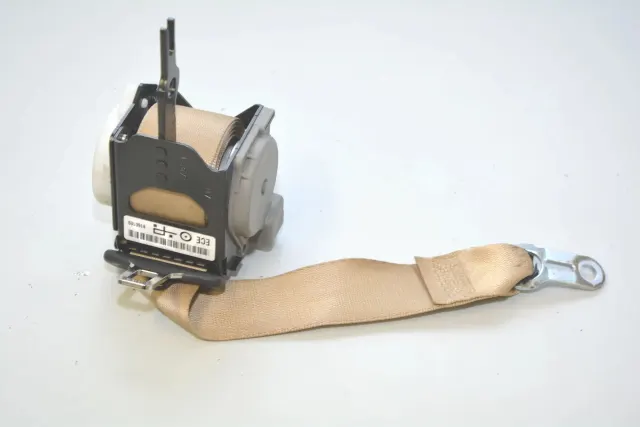 Rear Right Seatbelt