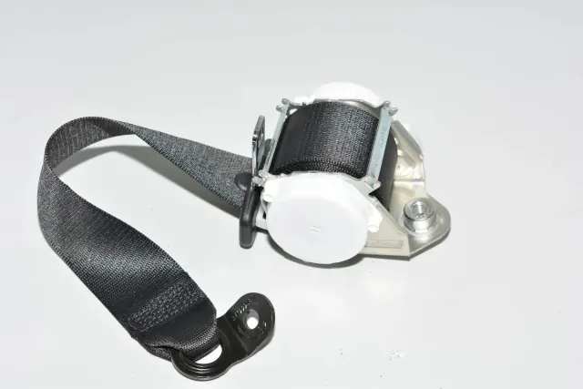 Rear Left Seatbelt