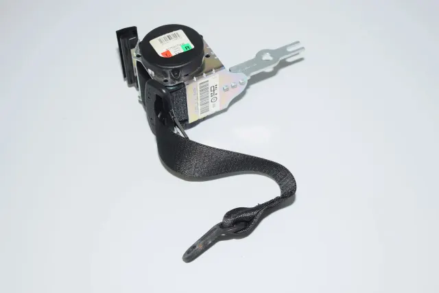 Rear Left Seatbelt