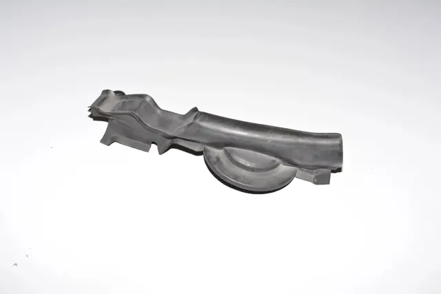 Other Body Parts