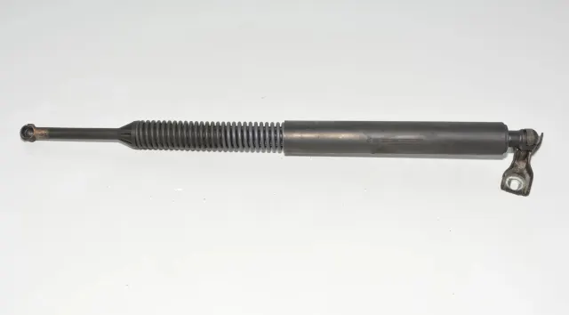 Right Side Tailgate Gas Strut