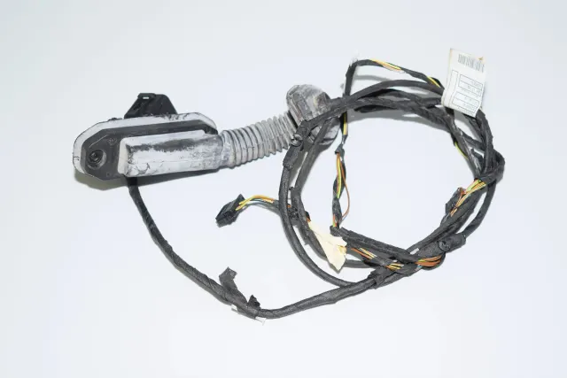 Rear Left Door Wiring