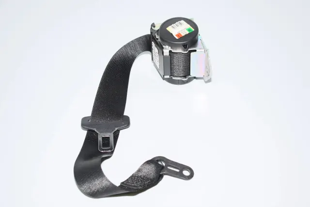 Rear Left Seatbelt