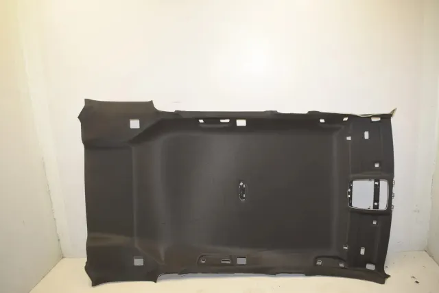 Roof Headliner
