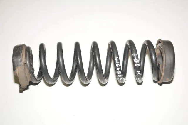 Rear Left Coil Spring