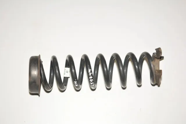 Rear Left Coil Spring