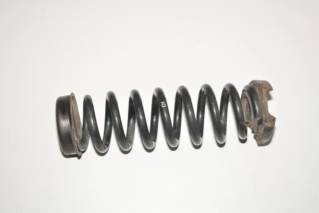 Rear Left Coil Spring