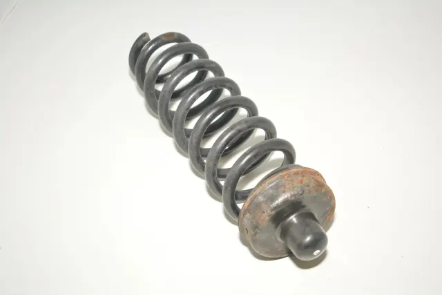 Rear Left Coil Spring