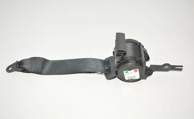 Rear Left Seatbelt