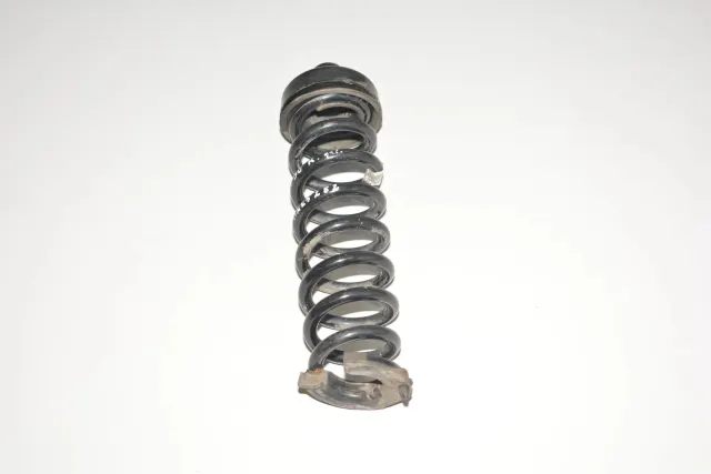Rear Left Coil Spring