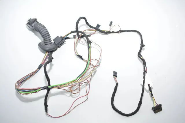 Rear Left Door Wiring