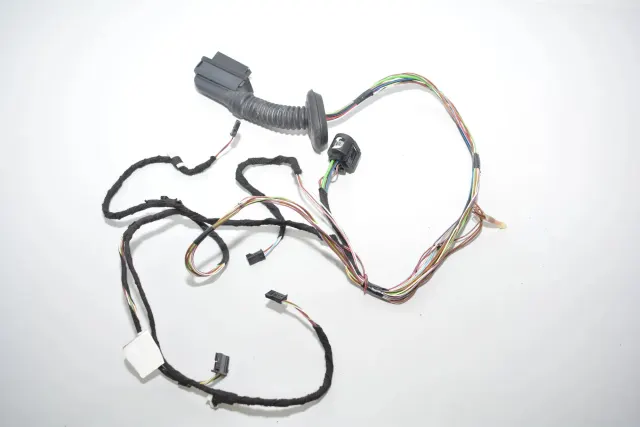 Rear Left Door Wiring