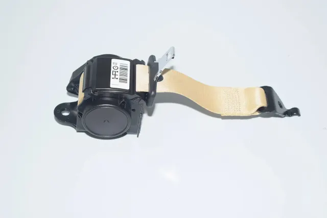 Rear Middle Seatbelt