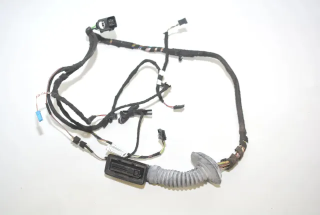 Rear Right Door Wiring