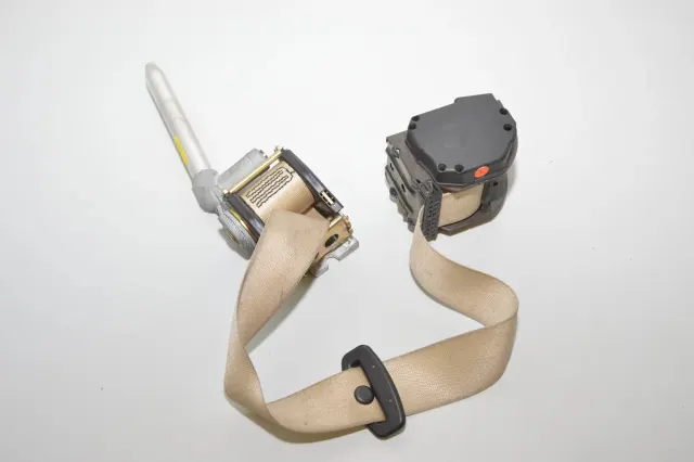 Rear Left Seatbelt