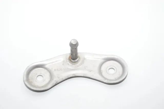 Other Body Parts