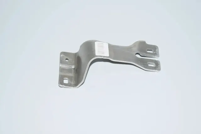 Other Body Parts