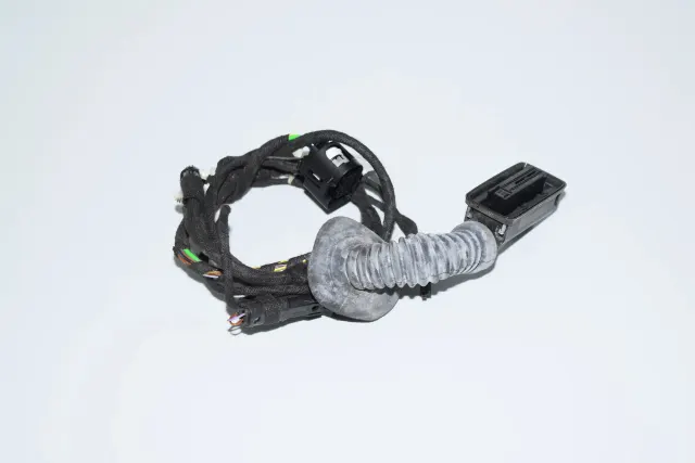 Rear Left Door Wiring