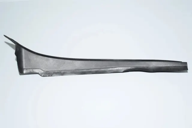 Other Body Parts