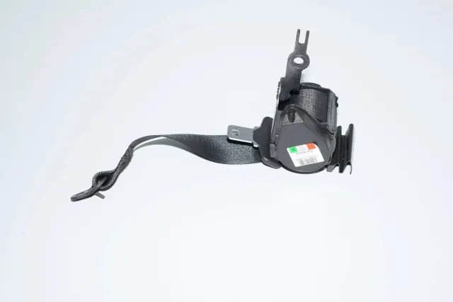 Rear Right Seatbelt