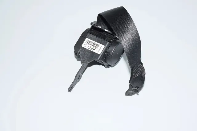 Rear Left Seatbelt