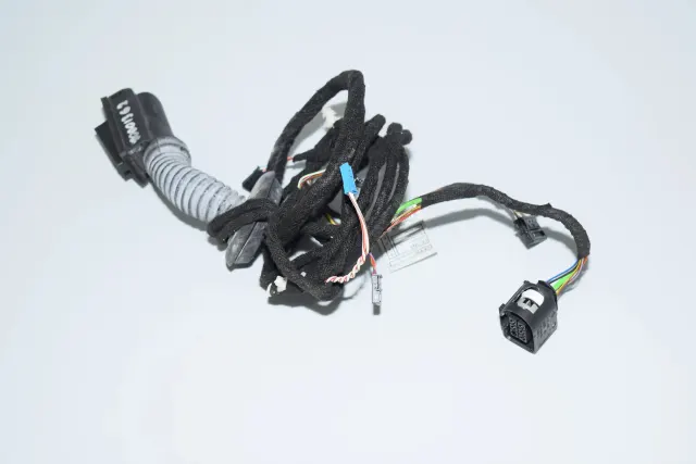 Rear Left Door Wiring